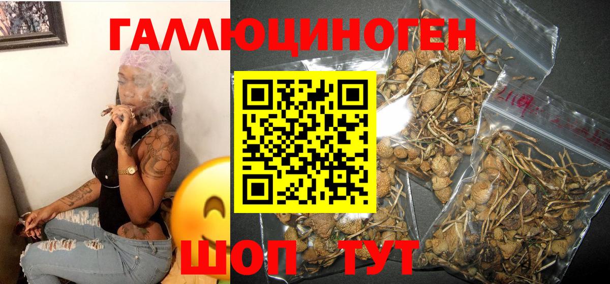 Псилоцибиновые грибы мицелий Гай