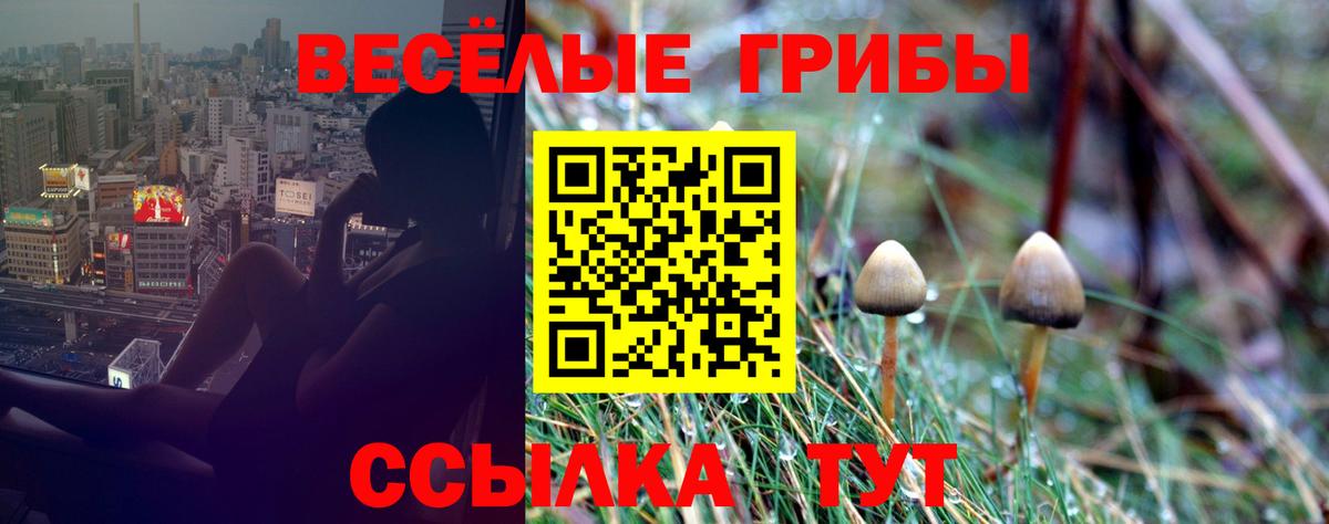 Героин Гай